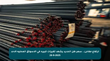 ارتفاع مفاجئ.. سعر طن الحديد يشهد تغيرات كبيرة في الأسواق المحلية الأحد 28-9-2025